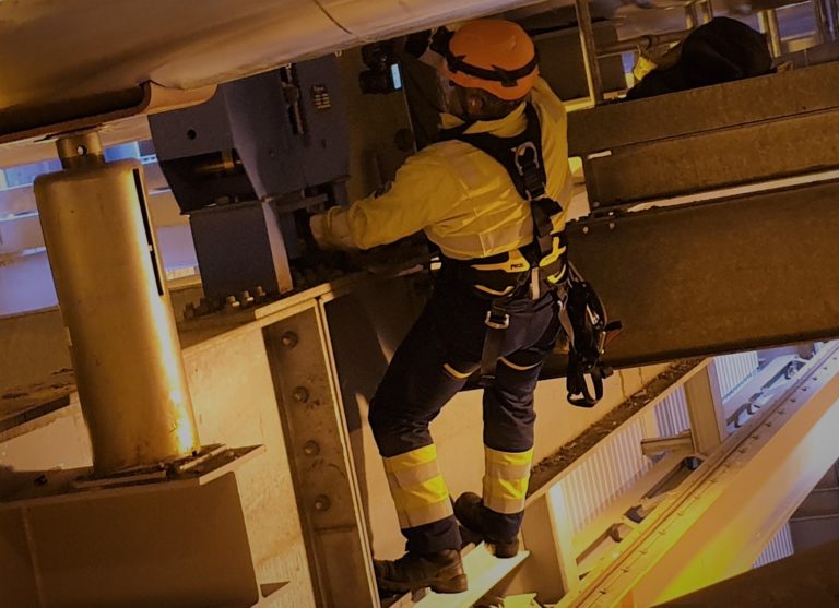 rescue-teams-2-R-768x557